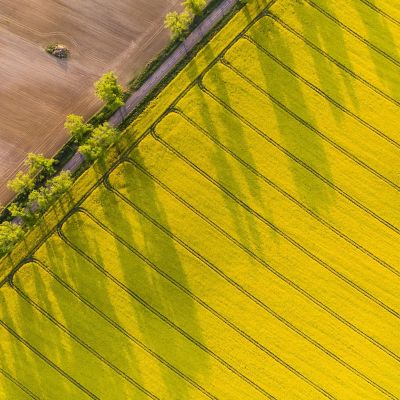 Celebrating Diversity in Agriculture